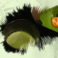 熱茶與伏天的關(guān)系，只有清涼