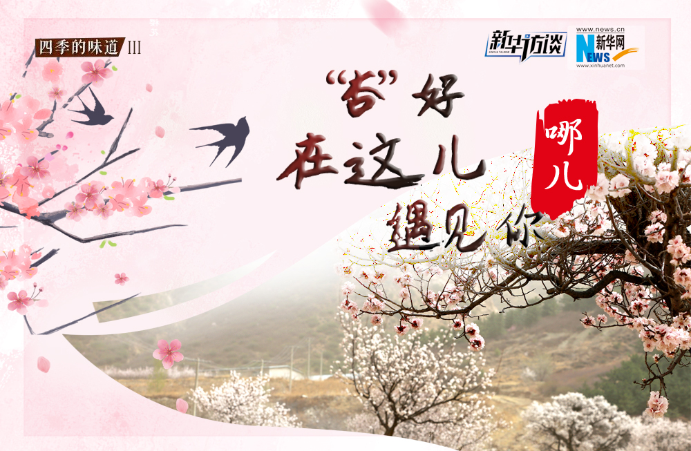 哪兒？&ldquo;杏&rdquo;好在這兒遇見你！