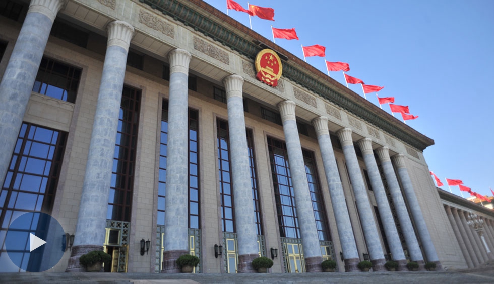 十三屆全國人大一次會(huì)議首場&ldquo;代表通道&rdquo;