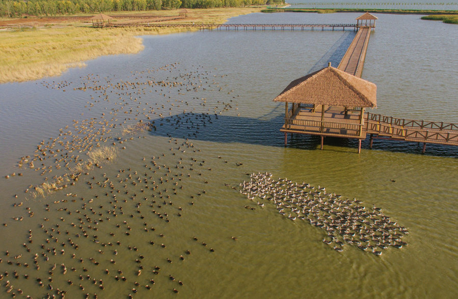 新華微評&middot;學(xué)習(xí)路上：生態(tài)興，百業(yè)旺
