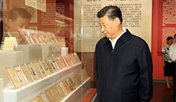 這些年，這些展，總書記這些話直抵人心