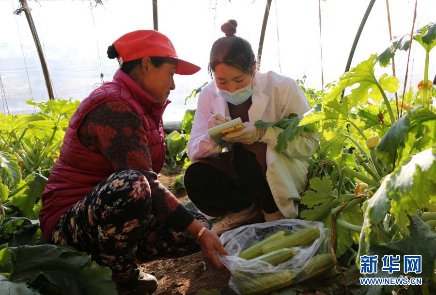 河北承德：強化蔬菜抽檢 守護&ldquo;舌尖上的安全&rdquo;