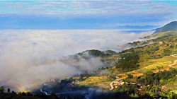 臺胞臺商熱議陜西惠臺&ldquo;60條&rdquo;：期盼落實、共享機遇