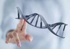 小細(xì)胞肺癌需要做基因檢測(cè)嗎？