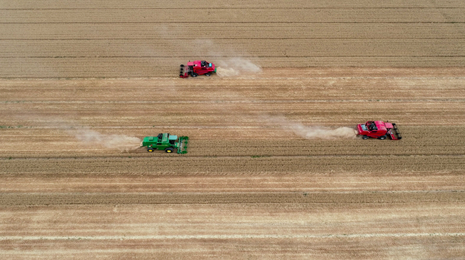 【&ldquo;飛閱&rdquo;中國(guó)】黃河兩岸，麥浪翻滾遍地金