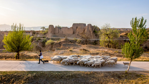 追夢足跡｜上馬圈：鐵馬冰河，黃土斑駁