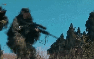 突入，擊斃！直擊武警特戰(zhàn)反劫持演練！