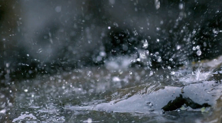 城市內(nèi)澇暴雨避險指南來了！