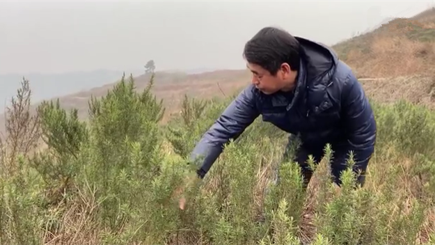 新春走基層｜脫貧后，駐村扶貧隊長在干啥？