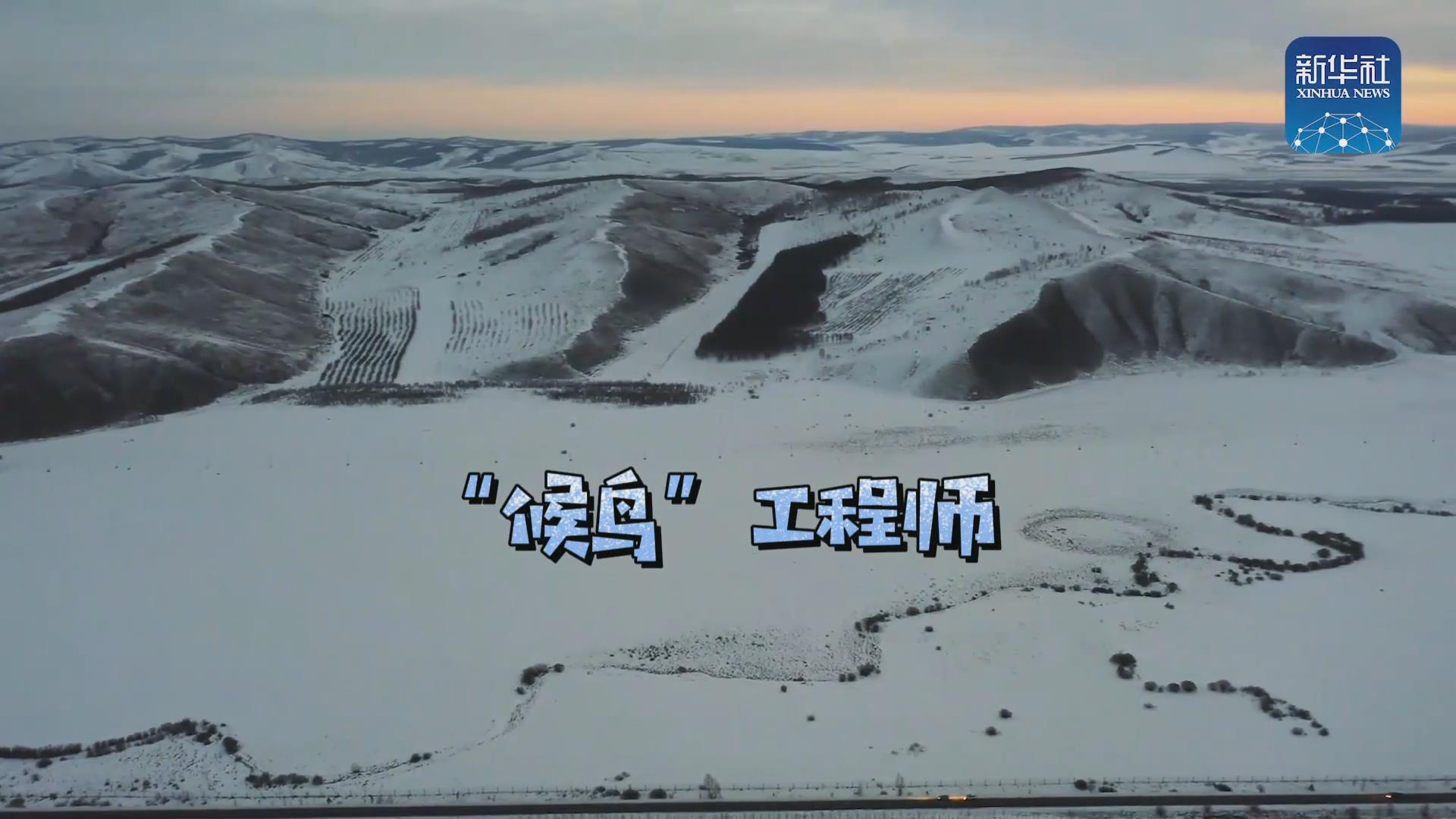 我們在奔跑丨一路向北！他是逆行的&ldquo;候鳥&rdquo;