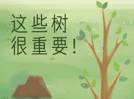 這些樹很重要！