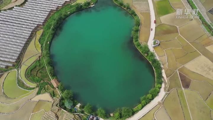 稻田新插，這里的山村美翻了！