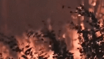 俄羅斯：西伯利亞林火肆虐&mdash;&mdash;&ldquo;冰城&rdquo;空氣污染嚴(yán)重 大部分航班延誤