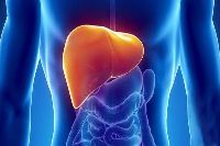 【健康解碼】轉(zhuǎn)氨酶輕度升高要不要緊？