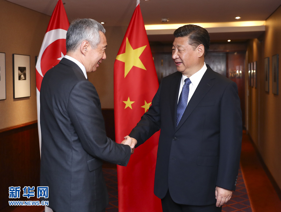 7月6日，國家主席習(xí)近平在漢堡會(huì)見新加坡總理李顯龍。 新華社記者謝環(huán)馳 攝