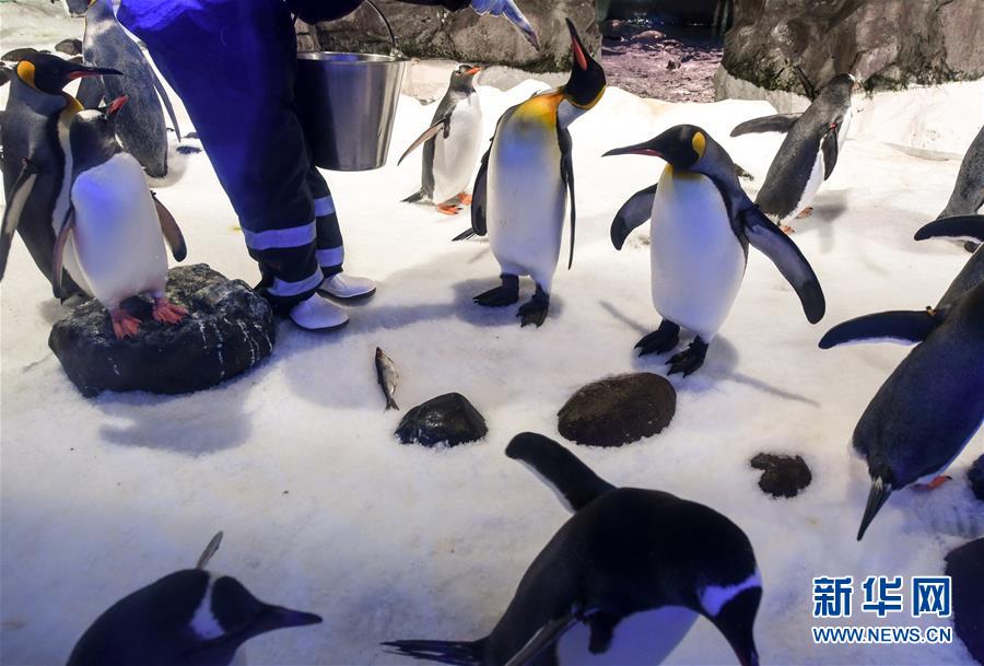 （國際&middot;一周看天下）海洋館
