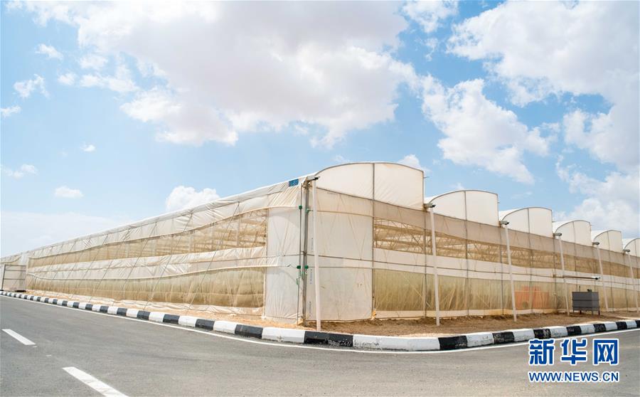 （國(guó)際&middot;&ldquo;一帶一路&rdquo;高峰論壇&middot;圖文互動(dòng)）（1）荒漠正在成為瓜果飄香的綠洲&mdash;&mdash;記中國(guó)國(guó)機(jī)重工埃及現(xiàn)代農(nóng)業(yè)溫室項(xiàng)目