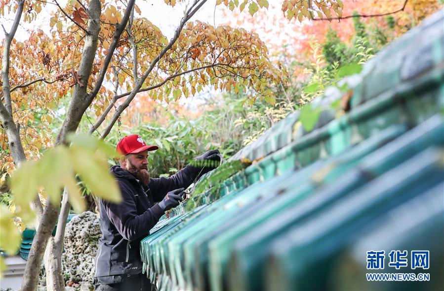 (國(guó)際·圖文互動(dòng))(1)通訊:守護(hù)魯爾河畔中國(guó)園林的德國(guó)志愿者