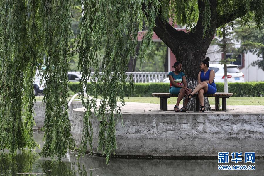 （中非團結(jié)抗疫故事&middot;圖文互動）（5）坦桑尼亞留學(xué)生譚麗：離家千里 生活一樣溫暖而多彩