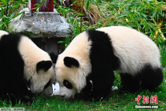 點擊進(jìn)入下一頁