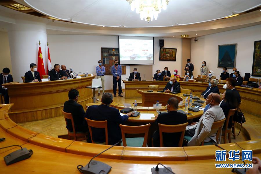 （國際&middot;圖文互動）埃及文化部舉辦&ldquo;中埃文化關(guān)系&rdquo;專題研討會