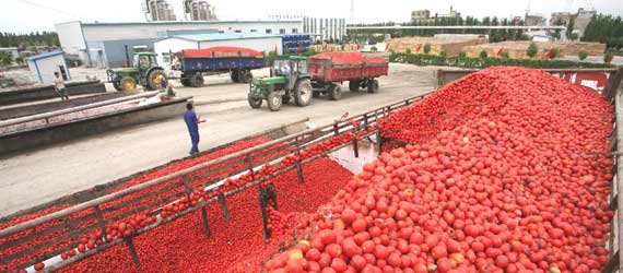 中國推動構(gòu)建共贏、互信、發(fā)展的新絲綢之路