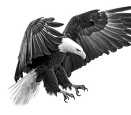 誰(shuí)是世界秩序的真正破壞者？