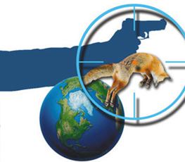 中國(guó)全球&ldquo;獵狐&rdquo;戰(zhàn)果豐碩！