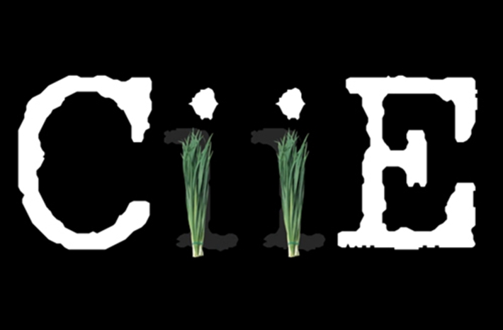 新華社創(chuàng)意動(dòng)感視頻：考眼力！數(shù)數(shù)多少樣進(jìn)口貨