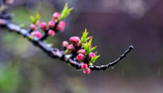 隨心而行，走走停停始終精彩。