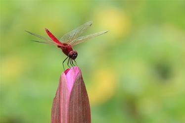 2019，精&ldquo;彩&rdquo;紛呈