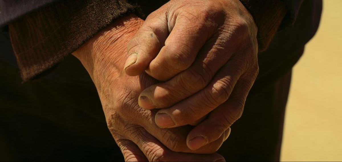 正式發(fā)布！《攜手，為人民》中國共產(chǎn)黨與世界政黨領(lǐng)導(dǎo)人峰會暖場片