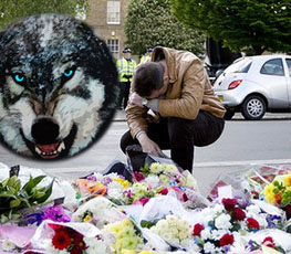 血案頻發(fā) "獨狼"緣何兇猛？