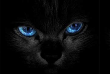 英國也有偷聽的&ldquo;棱鏡&rdquo;