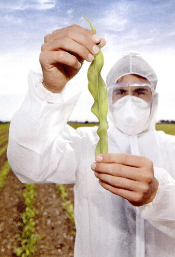 轉(zhuǎn)基因&ldquo;轉(zhuǎn)&rdquo;的是什么？